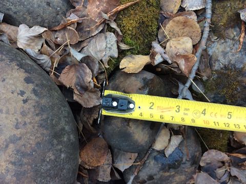 rocks and tape measure